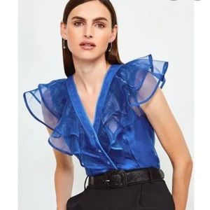 Karen Millen Beautiful Organza blouse.